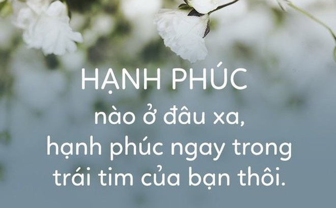 soi cầu Trà Vinh