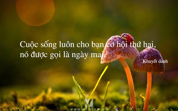 soi cầu Hậu Giang