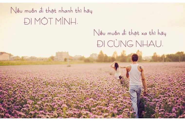 soi cầu Cà Mau