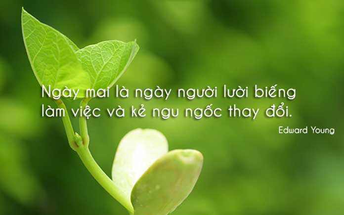 soi cầu Đắc Lắc