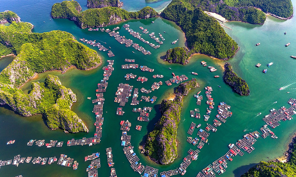 soi cầu An Giang