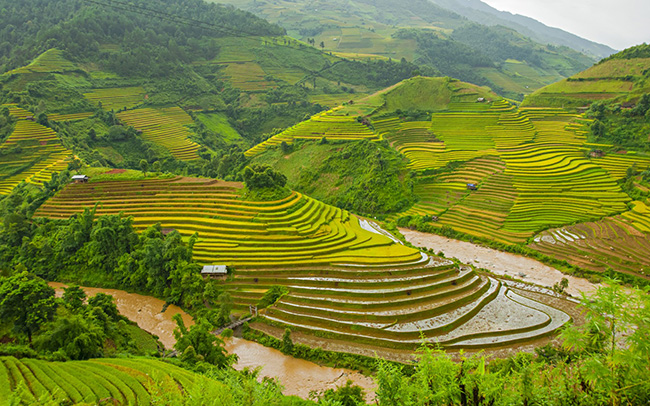 soi cầu Huế