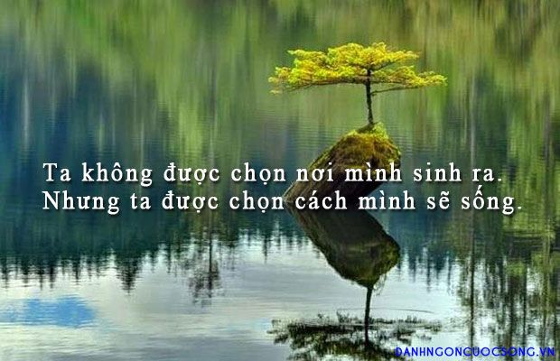 soi cầu Đà Nẵng