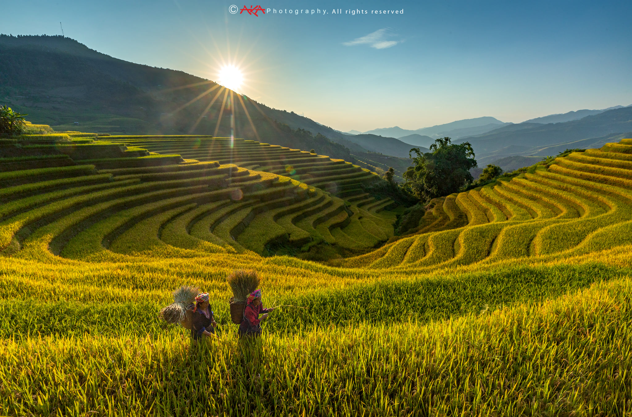 soi cầu Bình Định