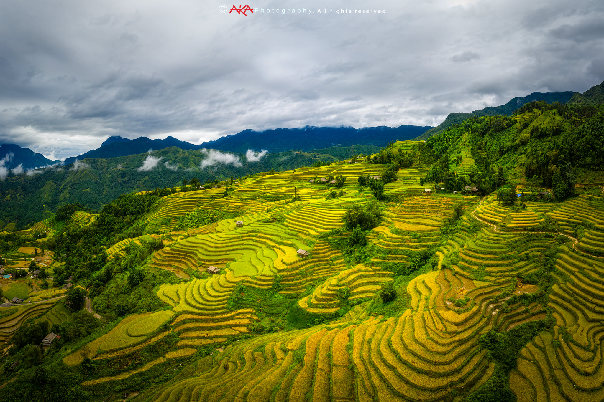 soi cầu Trà Vinh