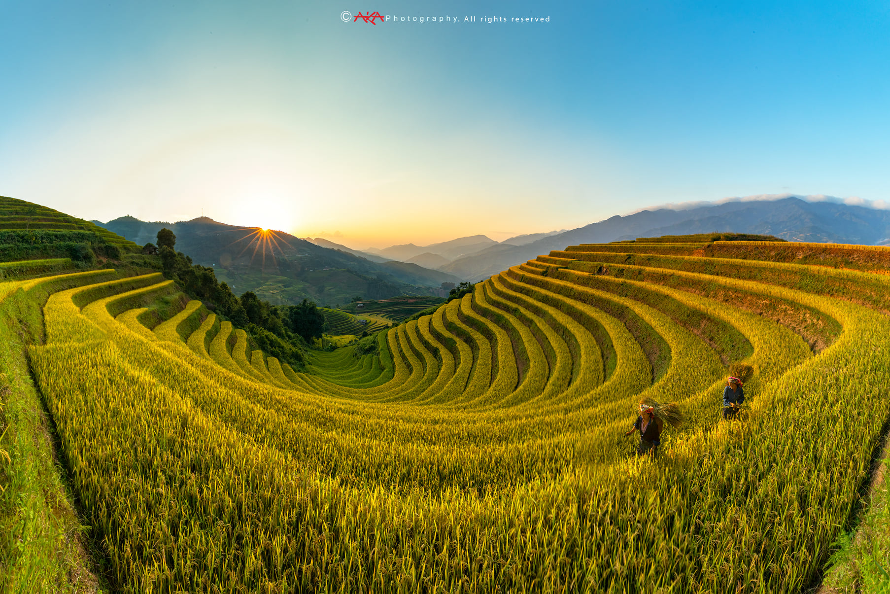 soi cầu Hậu Giang