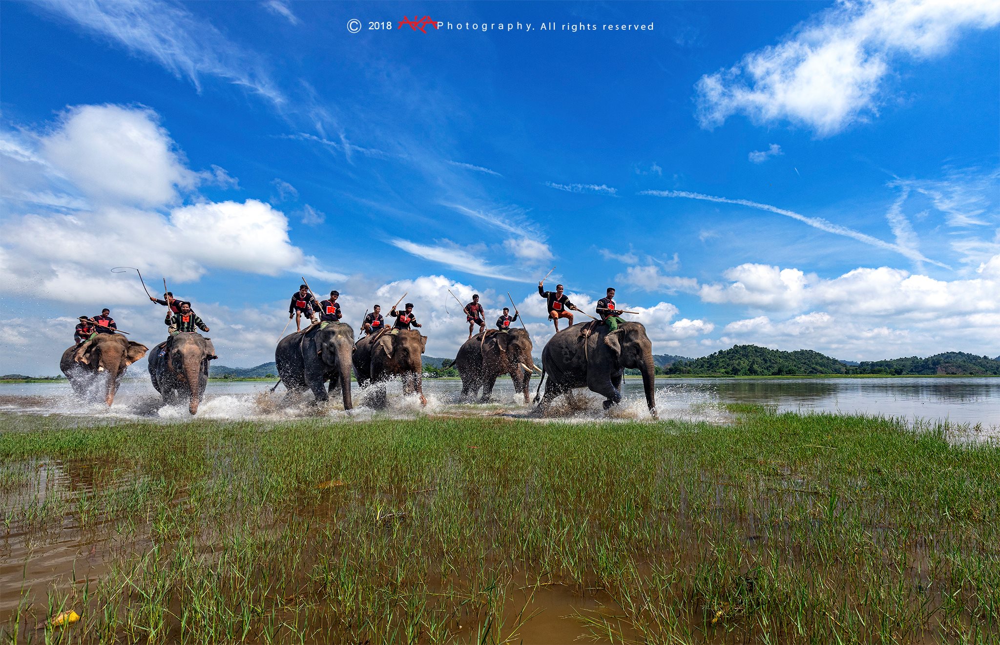 soi cầu Trà Vinh