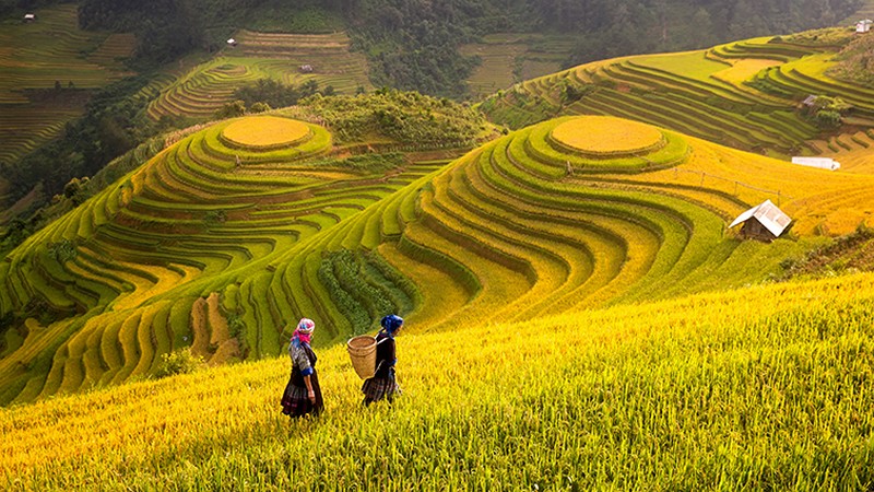 soi cầu Đà Nẵng