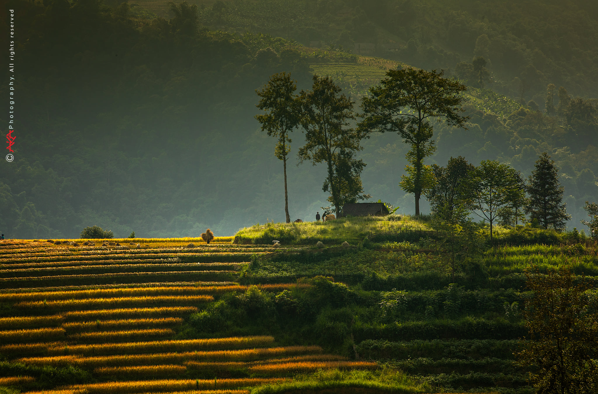 soi cầu Kiên Giang