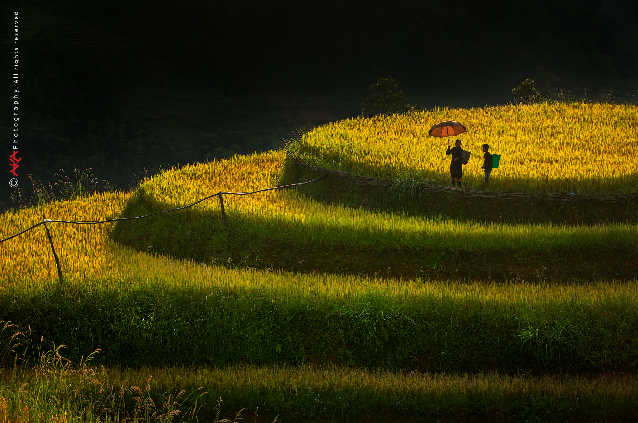 soi cầu Hậu Giang