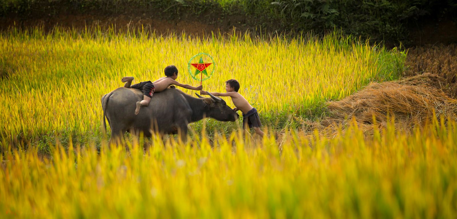 soi cầu Huế