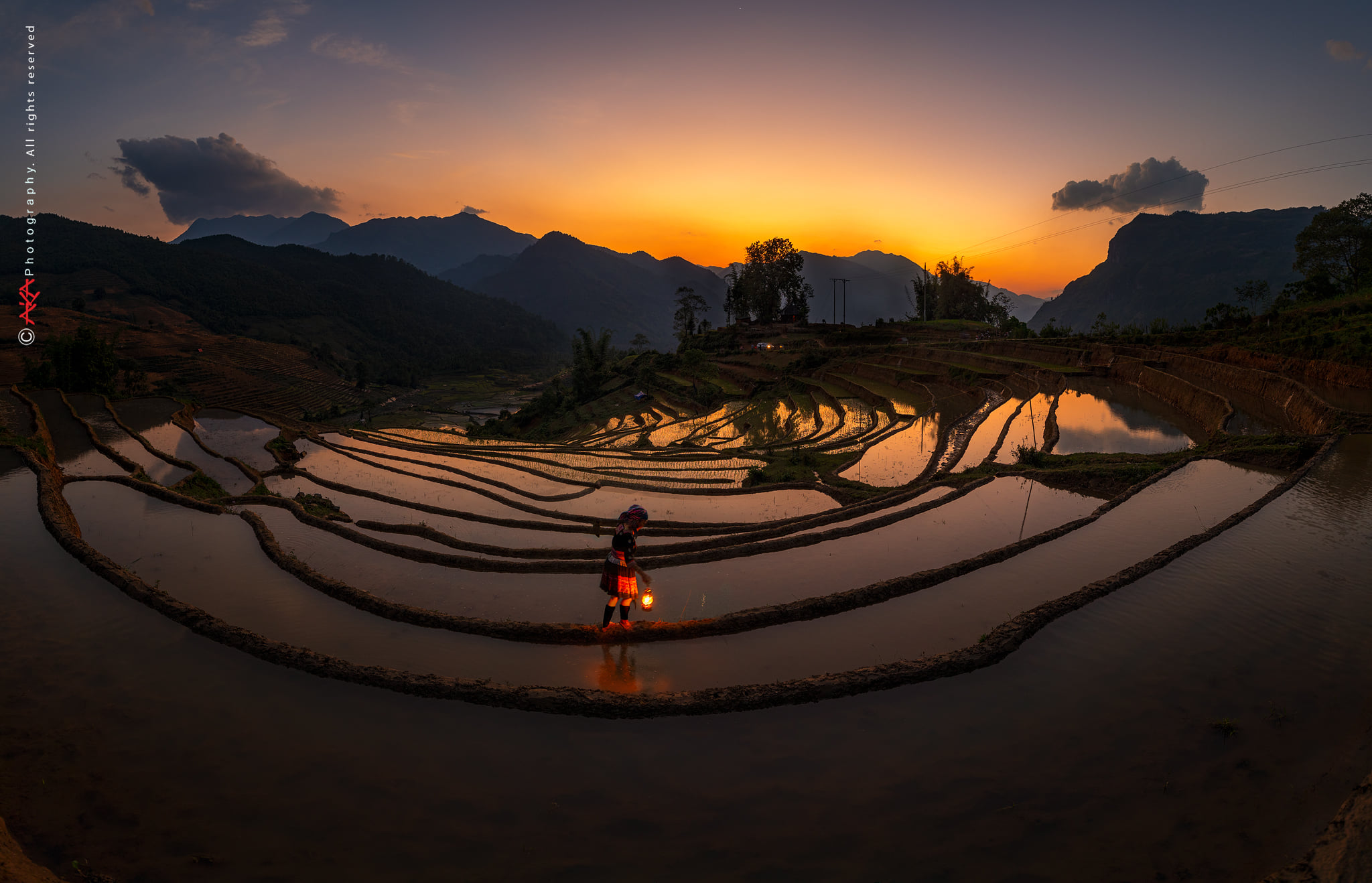 soi cầu Tiền Giang