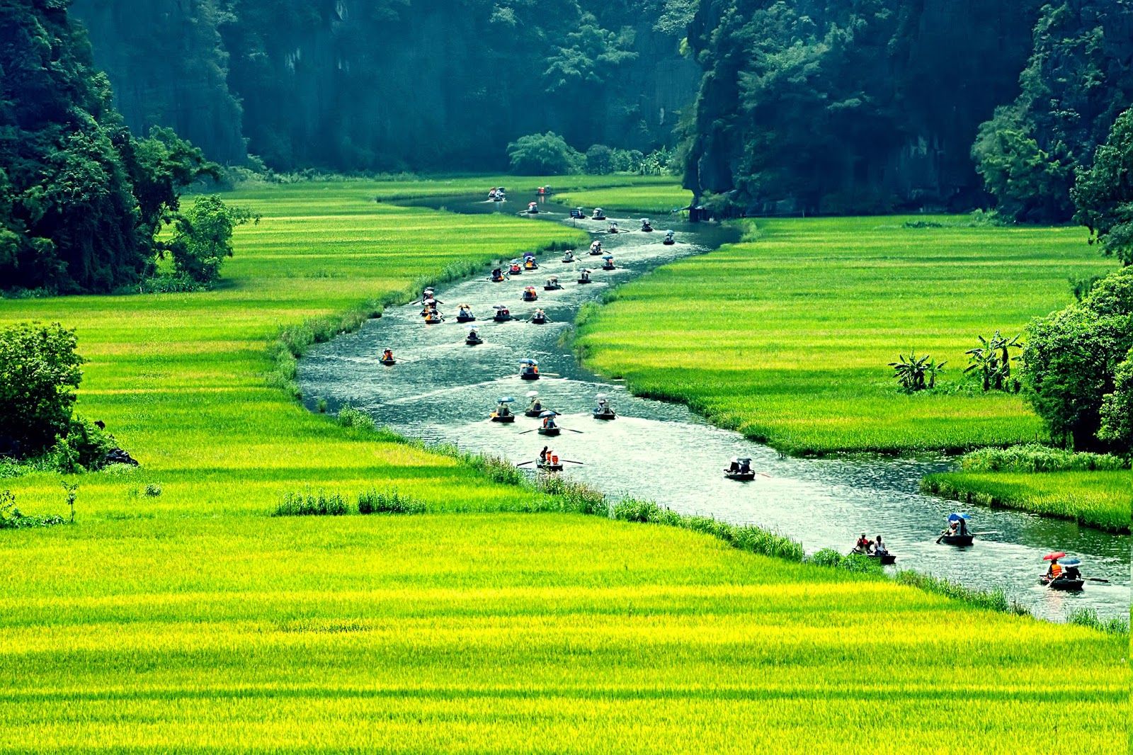 soi cầu Kon Tum